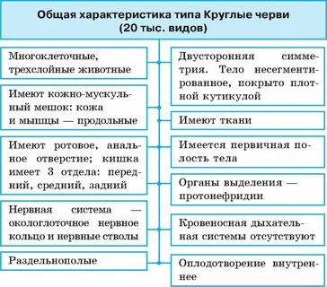 Тип круглые черви развитие