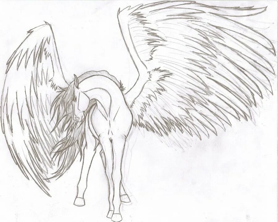 Пегас без крыльев. Красивые рисунки карандашом для срисовки. Лошадь с крыльями карандашом. Лошадь с крыльями рисунок. Единорог с крыльями.