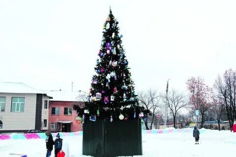 Чей елок
