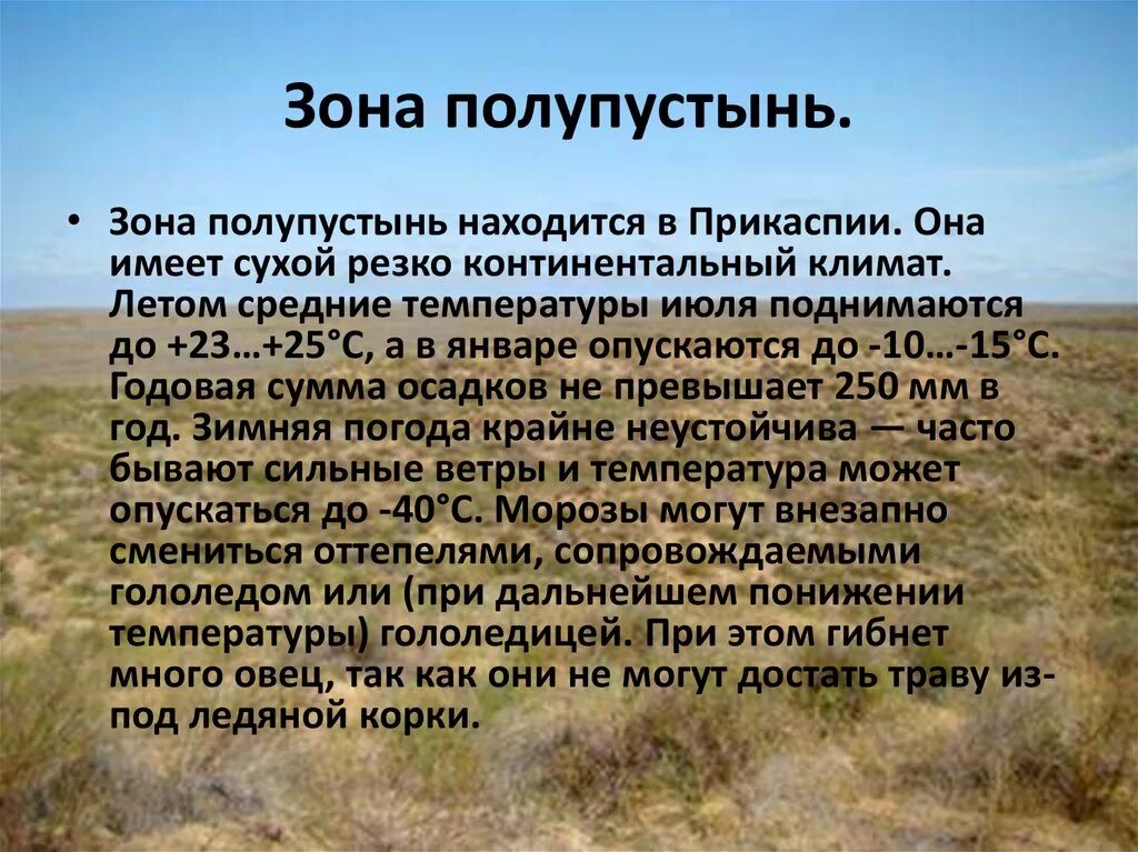 Природная зона имеет более разнообразный состав. Пустыни и полупустыни России климат. Природные зоны пустыни и полупустыни. Географические зоны пустыни и полупустыни. Сообщение о природной зоне.