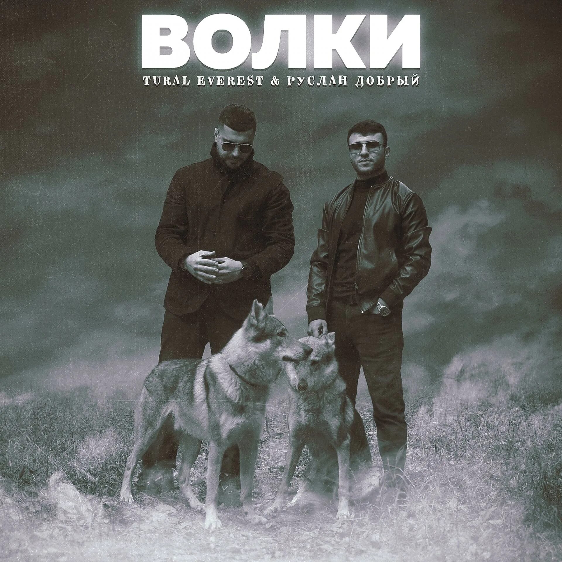 Волки ночных нагоняем на всех. Руслан добрый tural everest волки. руслан добрый турал эверест. руслан добрый волки. руслан добрый tural everest добрый я.