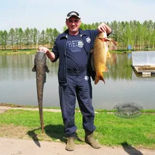 Есть ли клев завтра