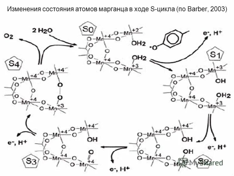 2 атома марганца