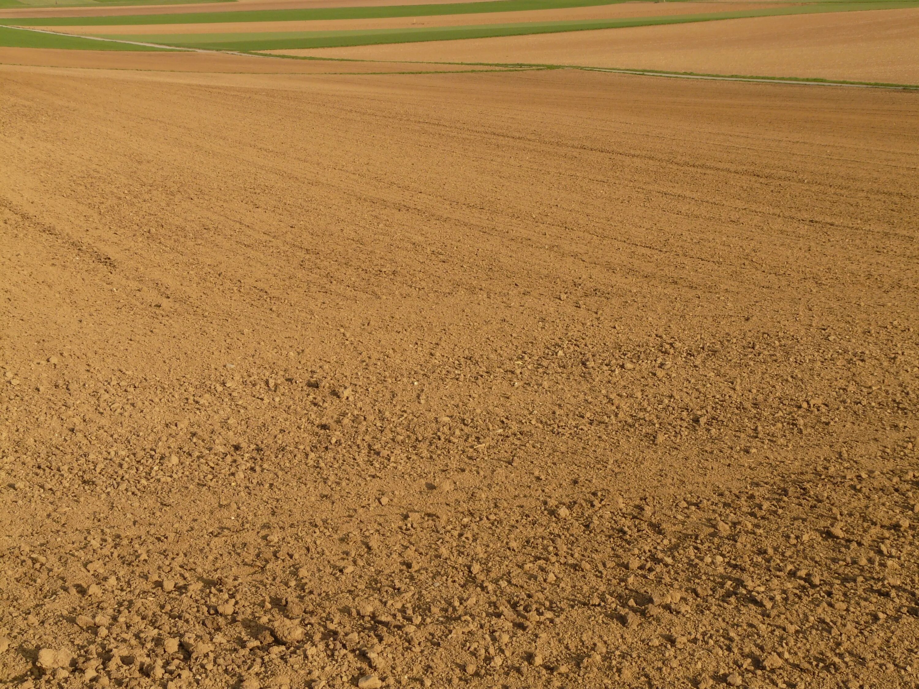 Непаханое/паханое поле. Лион поле и почва. Какие почвы в поле. Распаханное поле в степи крыма. Сельскохозяйственный ландшафт.