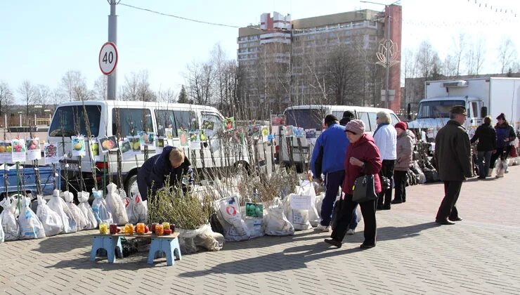 Где будет ярмарка в субботу. Весенние сельхозярмарки. Весенняя с/х ярмарка. Весенняя ярмарка Графика.