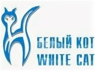 Адреса магазина белый кот