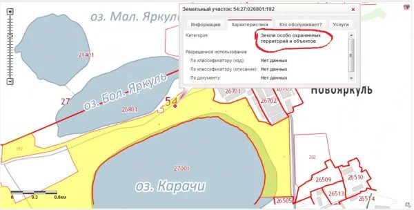 Озеро карачи на карте. Карачи нсо карта. Озеро карачи на карте. Чаны новосибирская область на карте. Озеро горькое на карте.