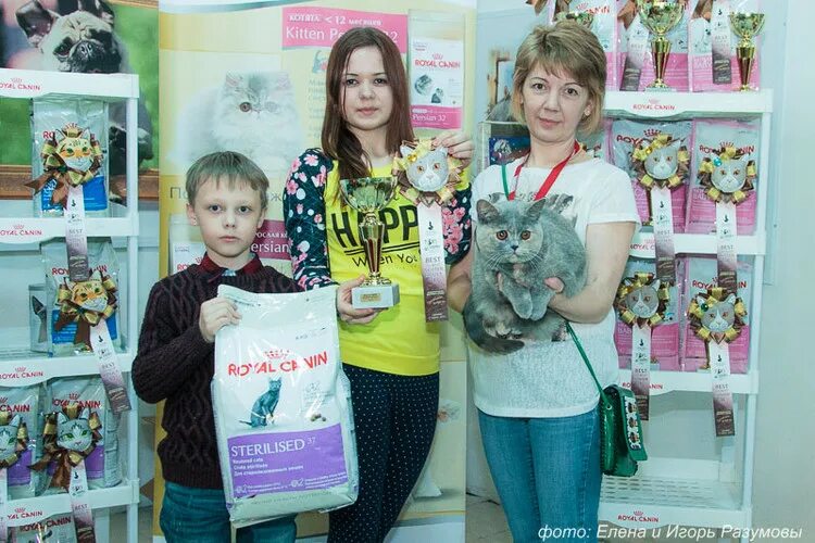 Выставка котят Балаково. Сколько в городе Балаково стоит выставка котят.