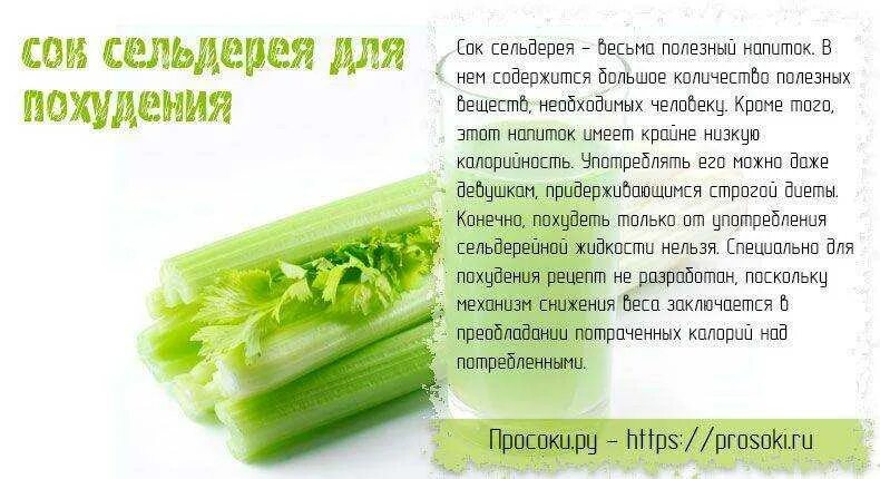 Сельдерей для похудения. Сельдерей для похудения рецепты. Смузи с сельдереем для похудения. Сельдерей для похудения отзывы. Сельдерей для похудения.