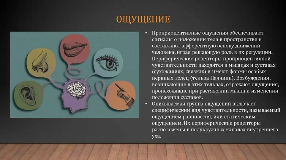Тезисы ощущения