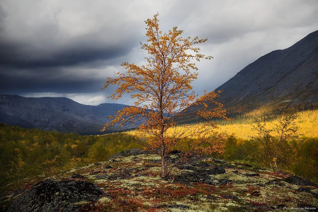 Зимние хибины. Плато хибины. Кольский полуостров хибины осень. Расвумчорр хибины. Рассвет в хибинах зимой.