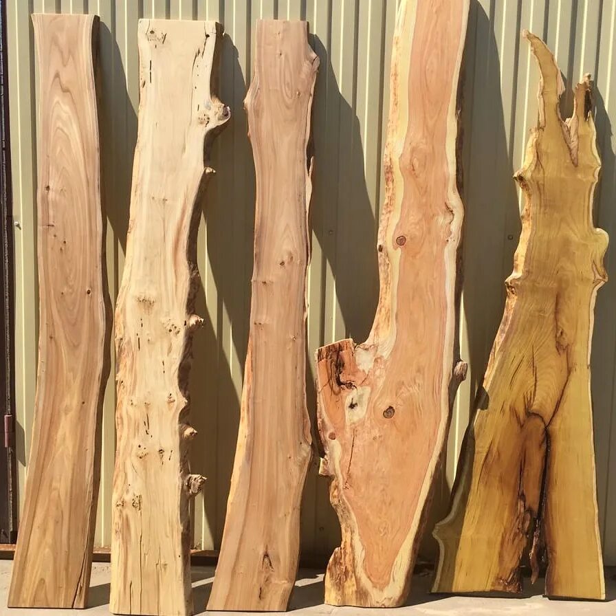 Каповый карагач спил. Ильм вяз карагач спил. Слэб дерева. Спил слэб. Изделия из необработанного дерева.