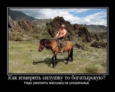 Миа бойка силушка