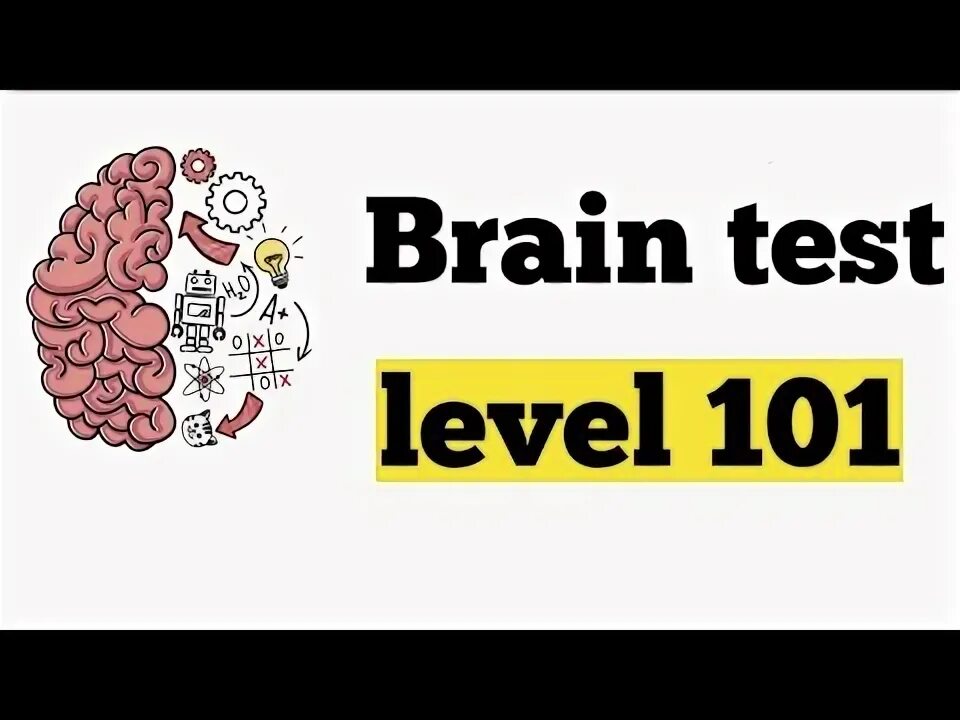 Brain 103