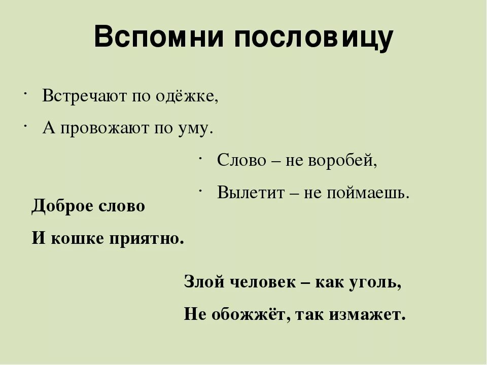 Пословицы уму разуму. Пословица по одежке встречают. Пословица встречают по одёжке а провожают по уму. Поговорка по одежке встречают. Встречают провожают пословица.