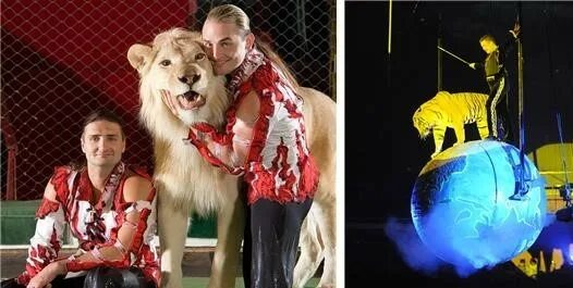 омский цирк империя львиц. эдгард и аскольд запашные. аскольд запашный. братья эдгард и аскольд запашные. братья запашные цирк.