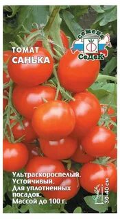 Томаты седек