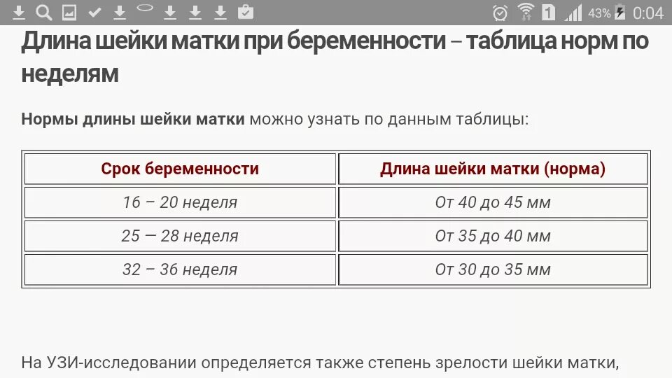 Норма длины шейки матки на 33 неделе беременности. Длина шейки матки на 12 неделе беременности норма в мм. Длина шейки матки при беременности в 12 недель норма. Норма длины шейки матки при беременности по неделям. Шейка 25 мм