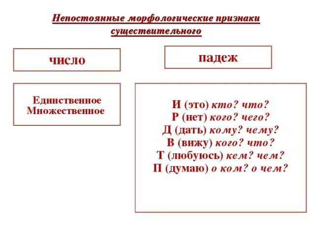 Любая морфологические признаки. Морфологические признаки имен существительных. Морфологические признаки имени существительного 4. Имя существительное морфологические признаки. Морфологические признаки имени существительного.