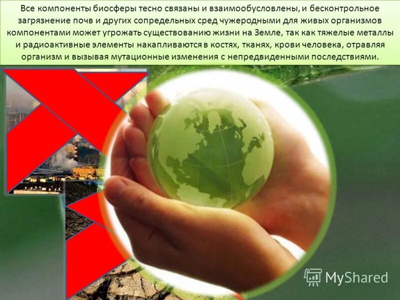 Влияние человека на природу. Изменение человеком биологической среды. Изменение человеком биологической среды. Антропогенные факторы среды обитания. Изменение человеком биологической среды.