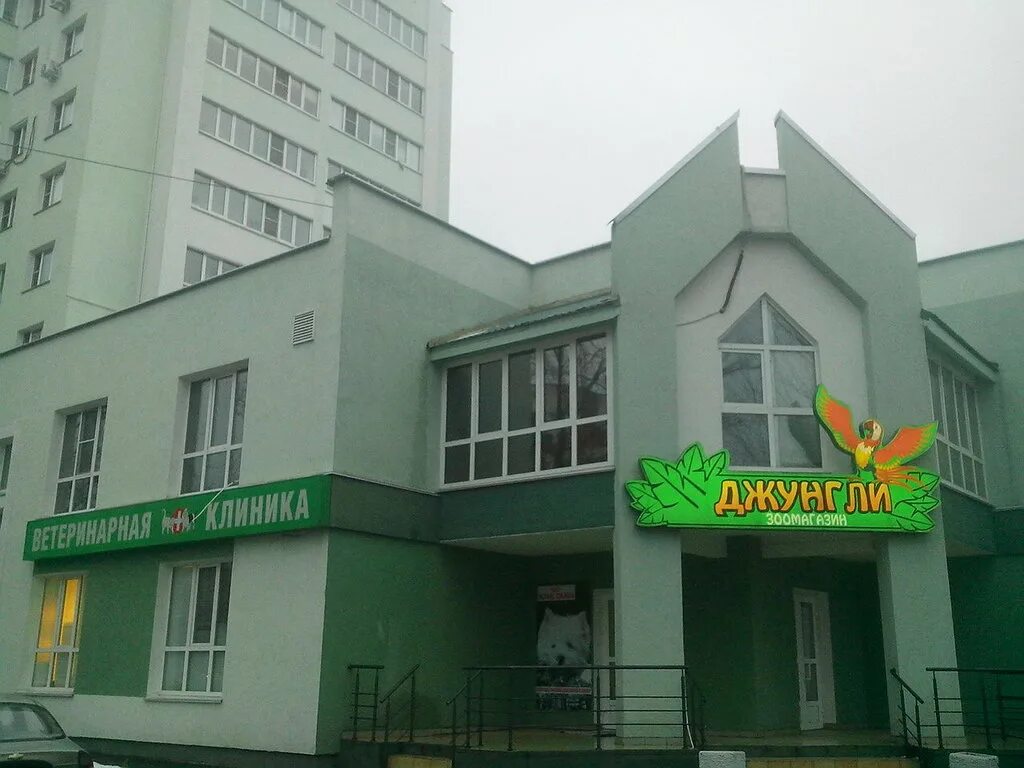 Офис м коломенская. Джунгли ветклиника луганск. Ветклиника джунгли москва. Джунгли пенза ветклиника. Ветклиника на нагатинском затоне.