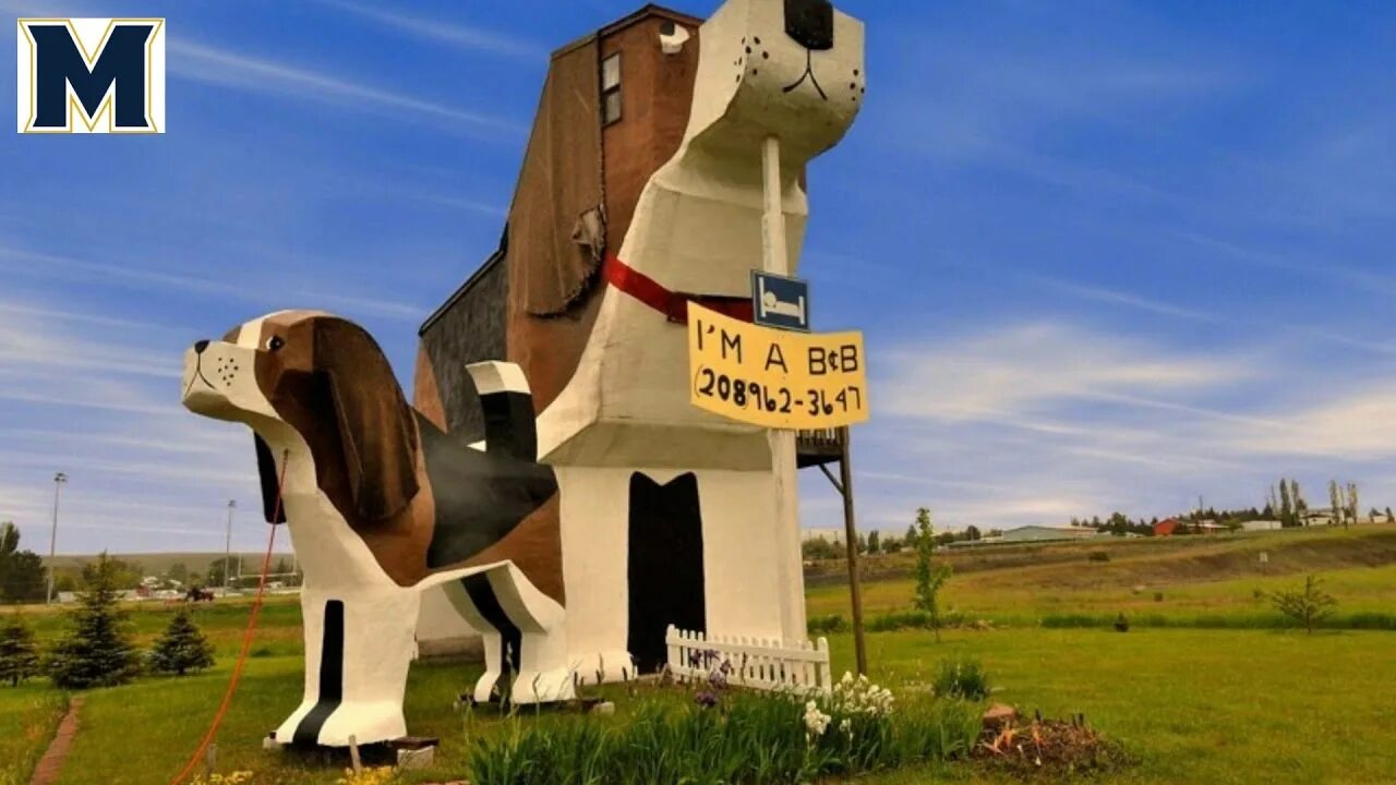 Dog bark park. Dog bark park. Dog bark park inn номера. Гостиница внутри собаки dog bark park inn. Гостиница внутри собаки dog bark park inn.