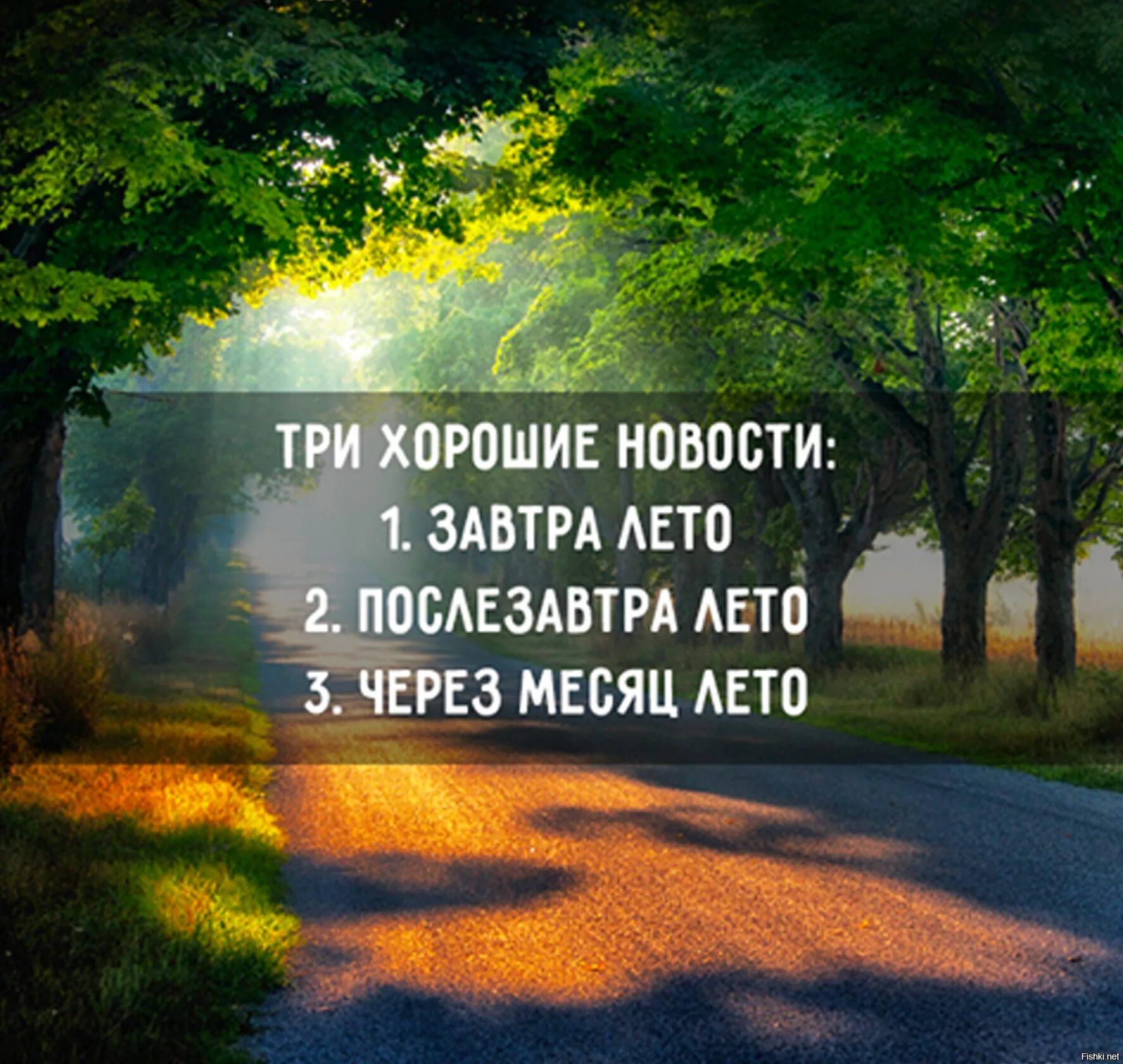 Доброе утро жизнь высказывания