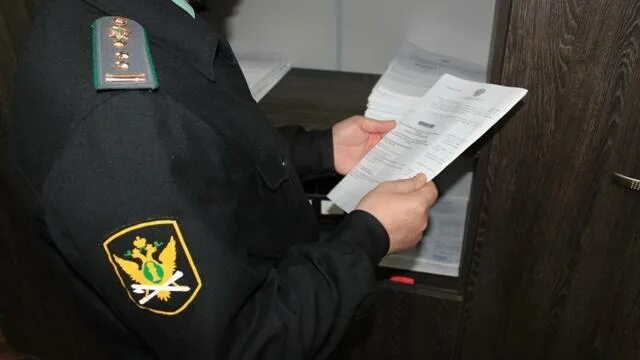 Уфссп торги. Служба судебных приставов задолженность. База данных судебных приставов. Служба судебных приставов машина. Уфссп торги.