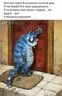 Кот вернулся
