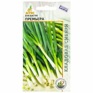 Лук батун название 7