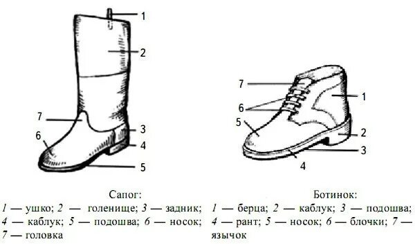 Голенище ботинка. Элементы конструкции ботинка. Высота голенища на обуви. Составные части обуви. Обхват голенища сапог