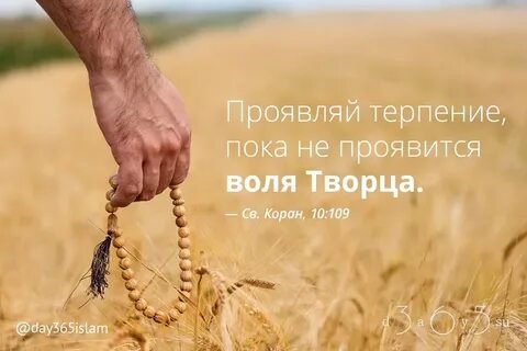 Где терпение