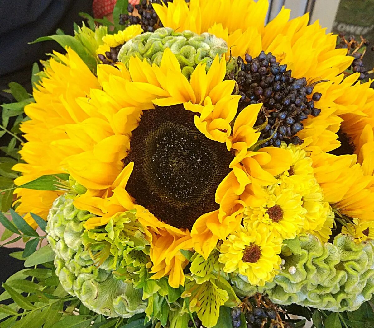Цветок подсолнечника мурано. Подсолнухи букет картинки. Букет из подсолнухов и ромашек. Подсолнухи и сантини букет. Композиция из подсолнухов.