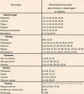 Благоприятные дни для посадки тюльпанов в 2024