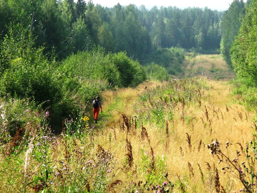 Нижние гари. Нижние гари. Нижние гари. Нижние гари. Нижние гари.
