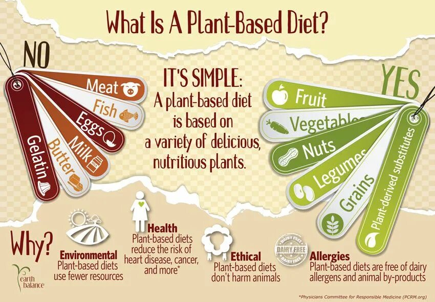 Simple die. Plant-based diet for dummies. plant based food are good for health and the environment. plant based текст. phd diet plant.