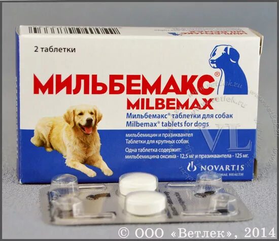 Какое обезболивающее можно собаке из человеческих