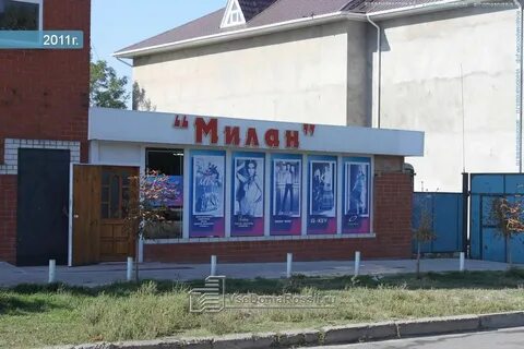 Темрюк розы