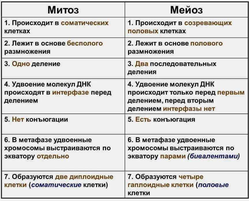 В какой зоне клетки делятся мейозом. Половое размножение мейоз таблица. Сравнение типов деления клеток таблица митоз мейоз. Тип деления митоза и мейоза таблица. Сравнительная характеристика процессов деления клеток.