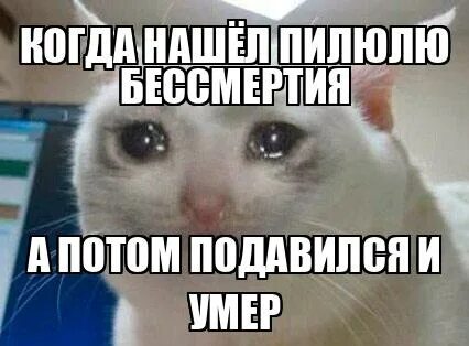 Подавится мацой