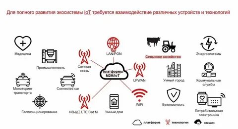 Экосистема мтс