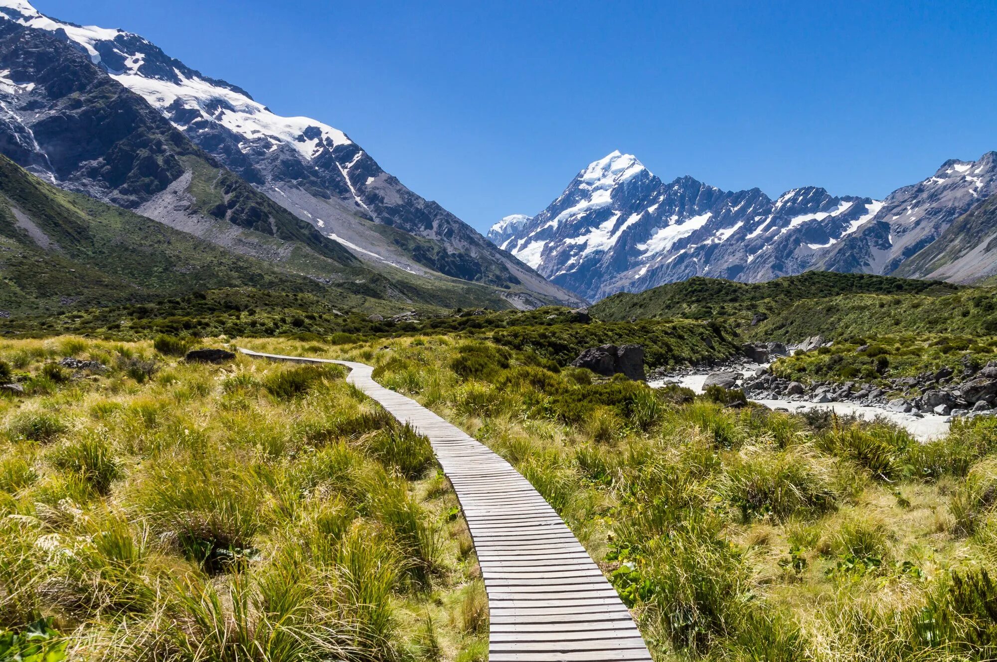 Mark in new zealand