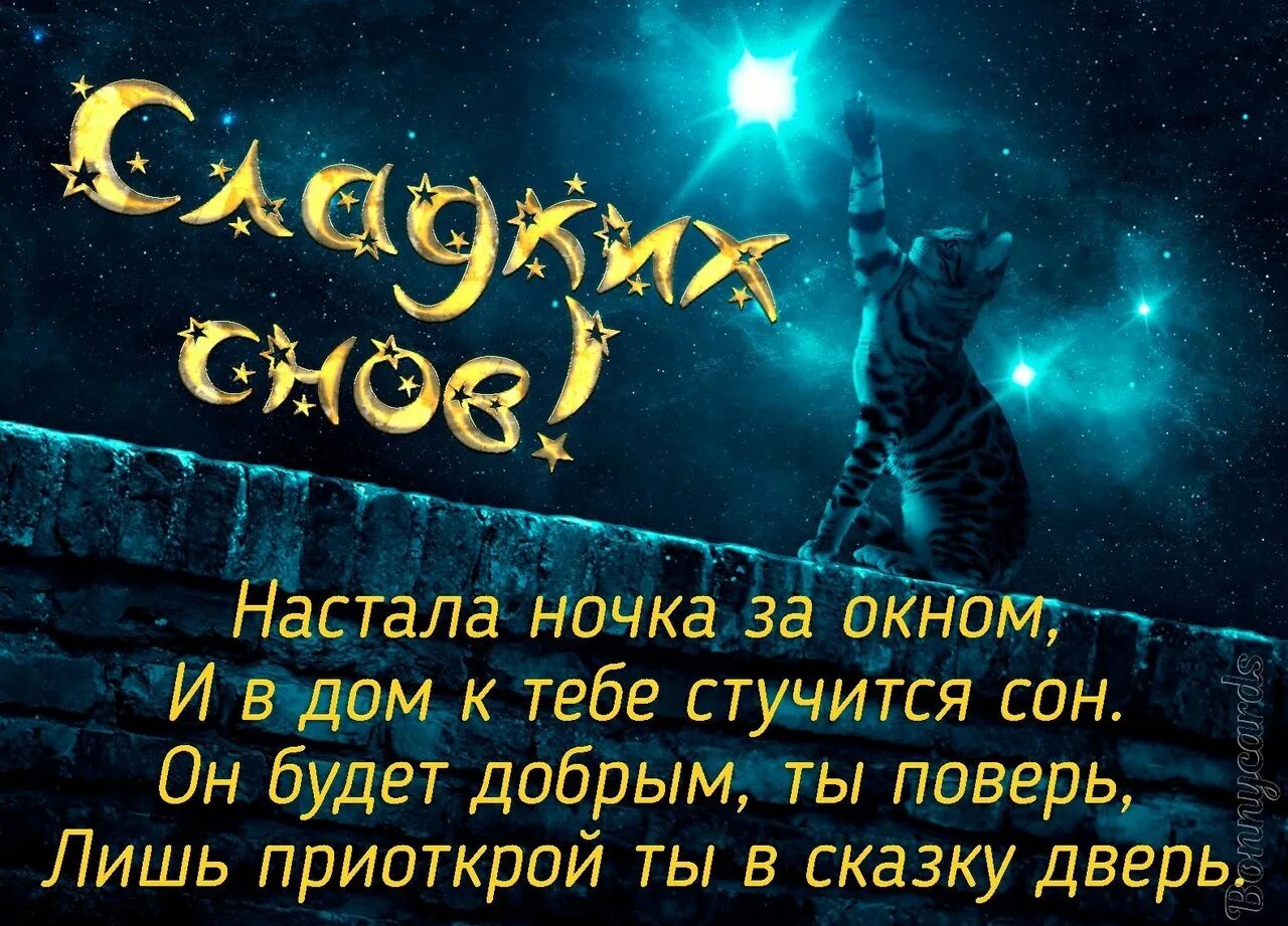 Спи крепко и сладко. Доброй ночи крепкого сна. ночи спокойной крепкого сна. сказочных сновидений и крепкого сна. котики с пожеланиями доброй ночи.
