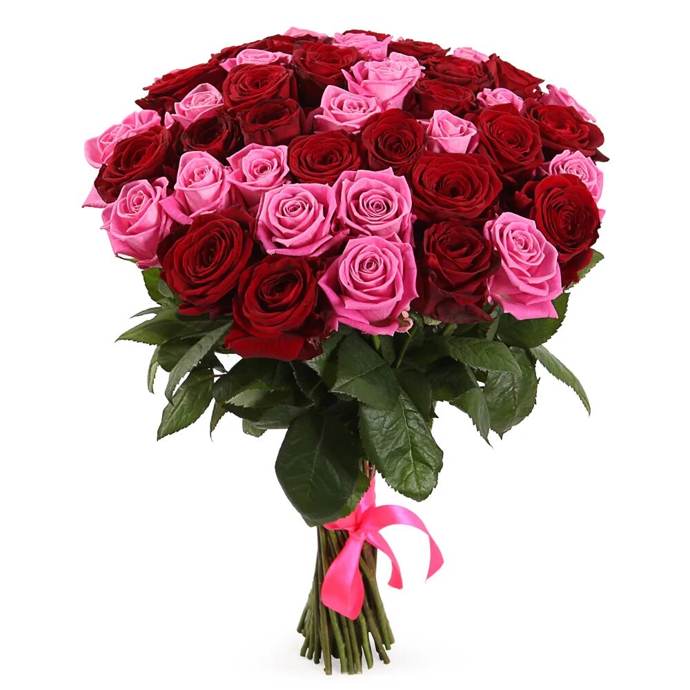 Букет роз недорого москва. Букет из красных и розовых роз.