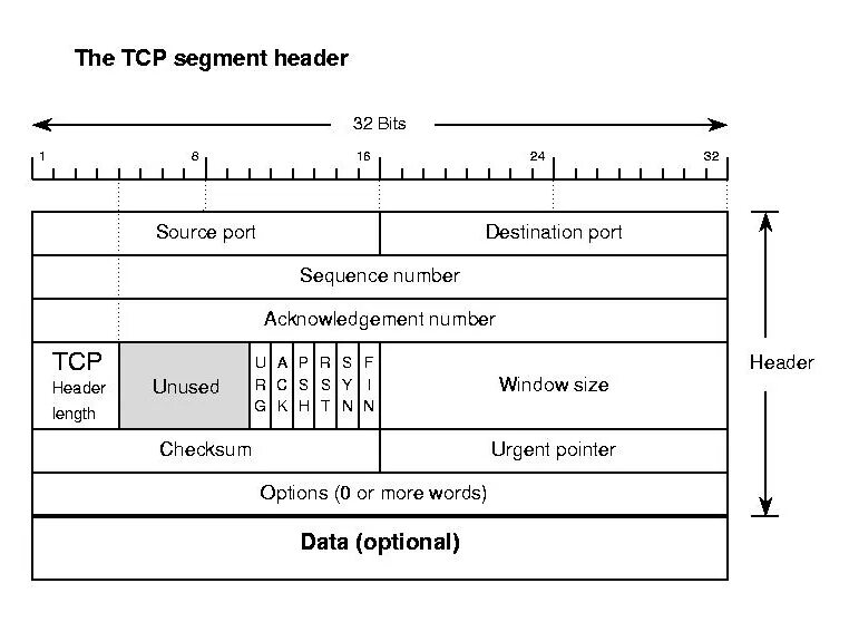 Tcp ping. Структура TCP. Фрейм TCP. TCP пакет. TCP протокол.