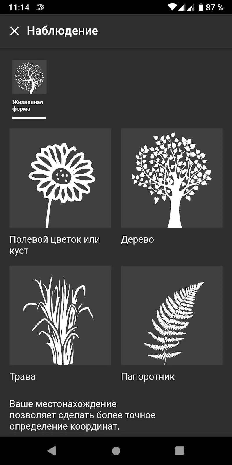 Приложение определяющее растения. Приложение по распознаванию растений. приложение для распознавания растений. распознавание растений по картинке. приложение для определения растений.