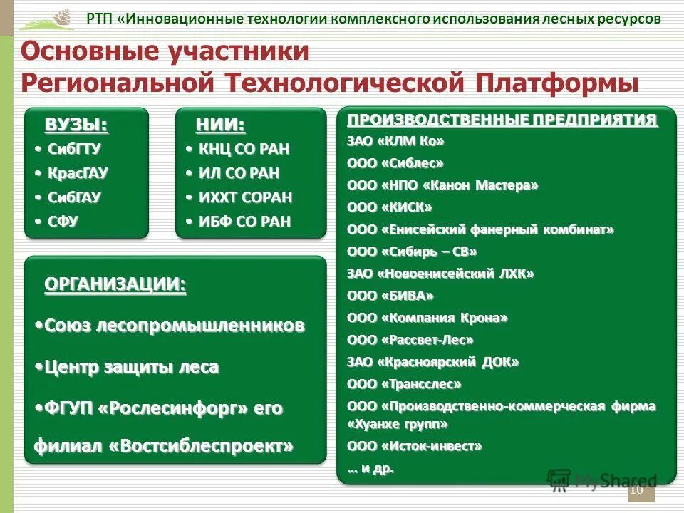 рослесинфорг новые формы отчетности