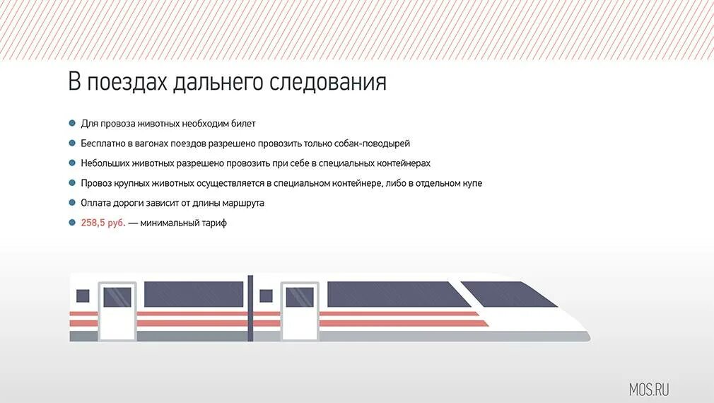 Проезд детей в поезде ржд. Правила проезда в поездах. правила провоза животных в поездах. правила в поездах дальнего следования. правила перевозки пассажиров в поездах.