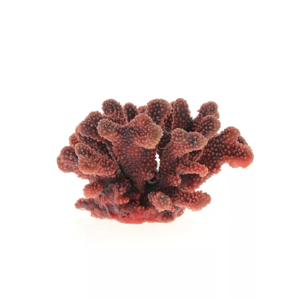 Синтетический коралл жильсона. Поделка коралловый риф. Озон кораллы. Vitality коралл пластиковый белый sh9201w. Аквариумные кораллы.