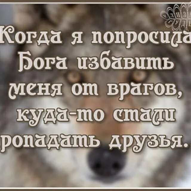 Как не стать врагом своему. Как не стать врагом своему